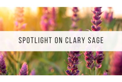 clary sage essential oil